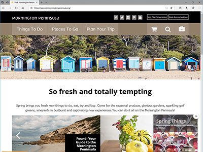 website picture