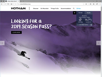 website picture