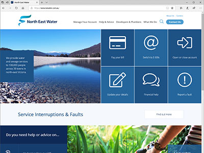 website picture