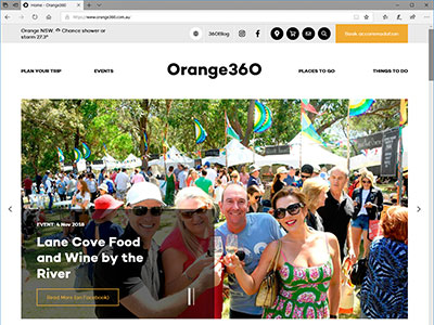 website picture