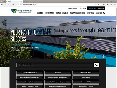 website picture