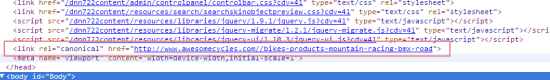 DNN Canonical Link Element in HTML