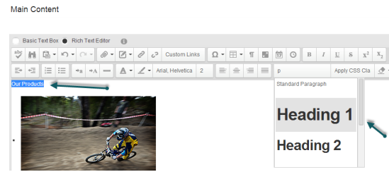 DNN - Setting the H1 tag for SEO