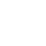 implementation services