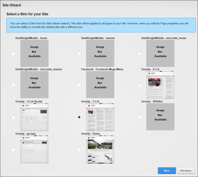 Step 3 - Select a Skin for your Site