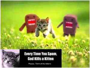 No Spam