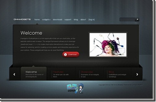 dnnwidgets-site-homepage-screen-shot