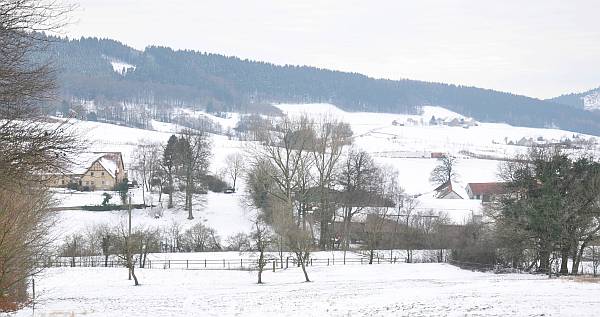 Teutoburg Forest 2009-12-25