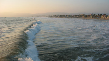 PDC05_VeniceBeach.jpg