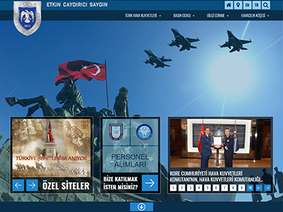 website picture