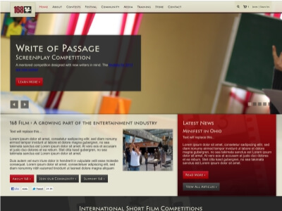website picture