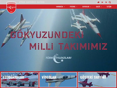 website picture
