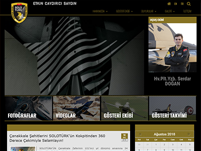 website picture
