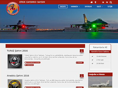 website picture