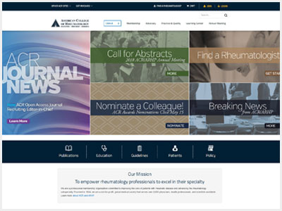 website picture