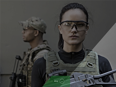 website picture