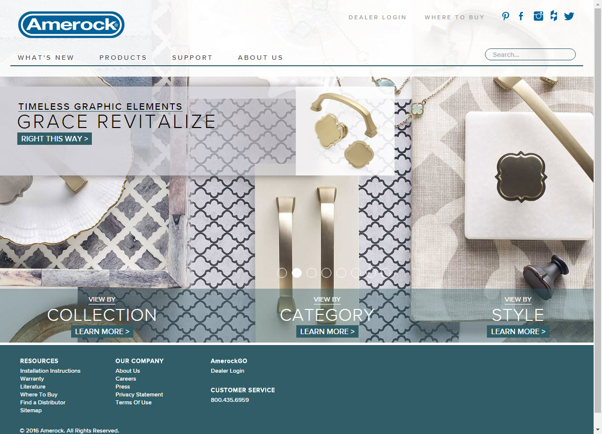 website picture