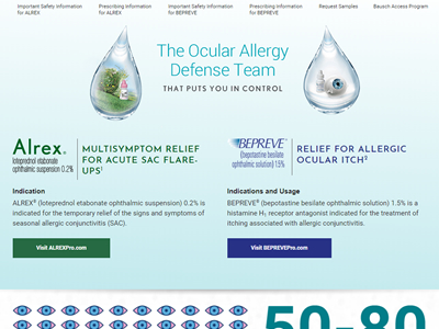 website picture