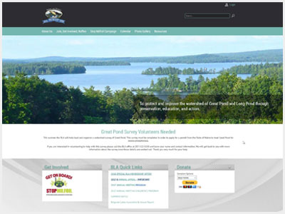 website picture