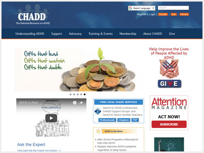 website picture