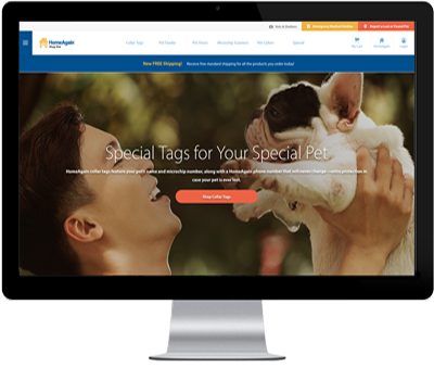 website picture