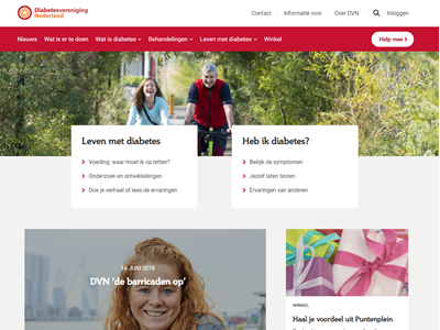 website picture