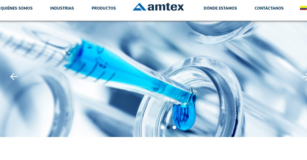 website picture