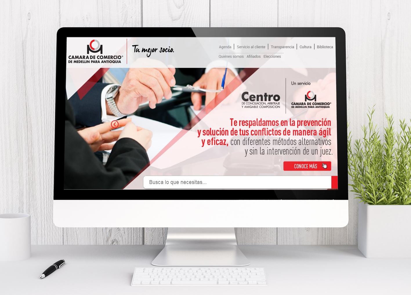 website picture