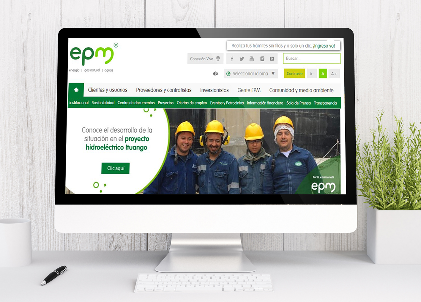 website picture