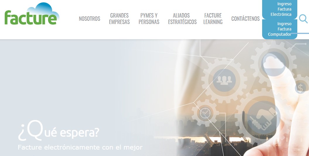 website picture