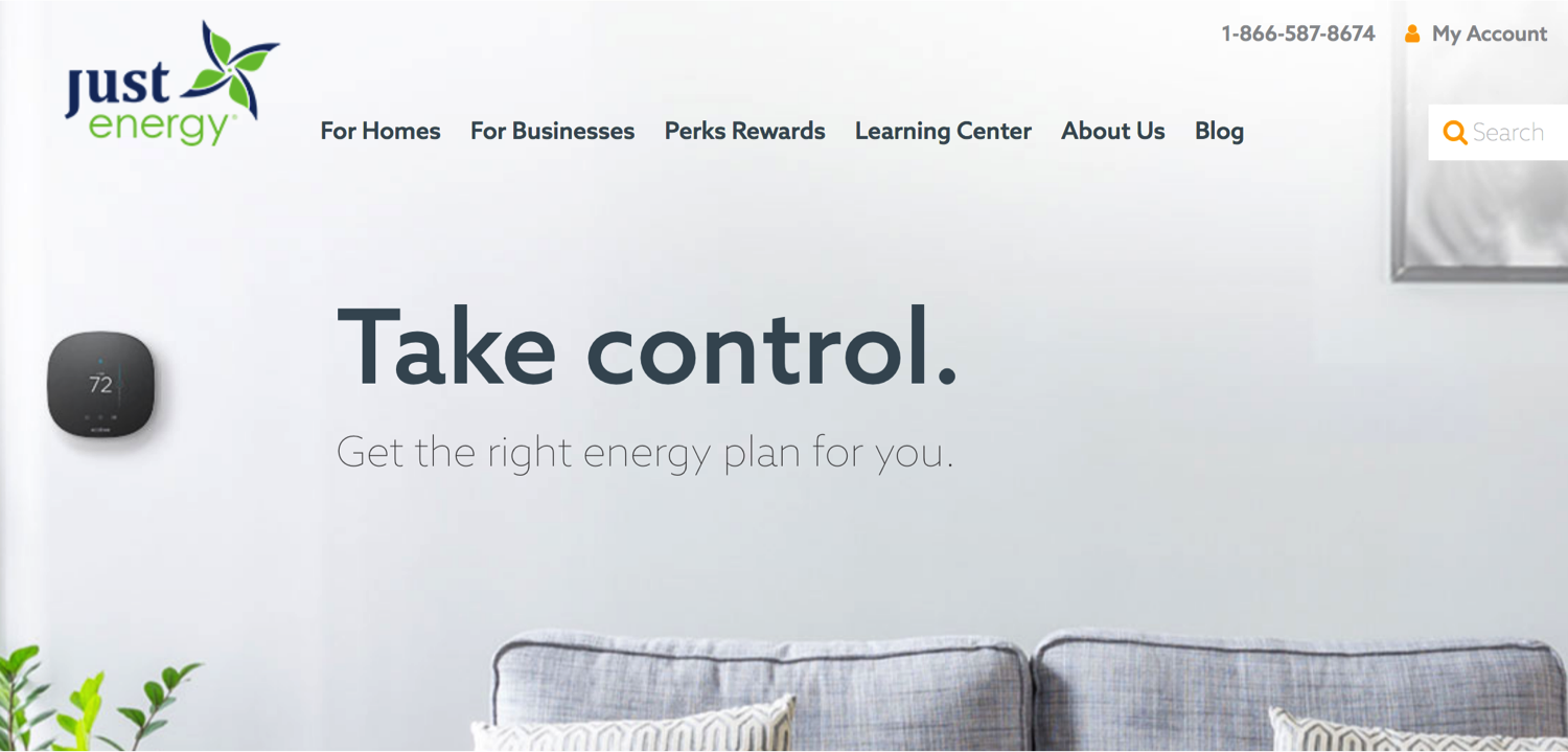 website picture