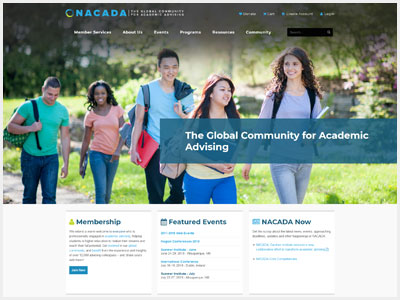 website picture