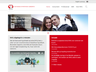 website picture