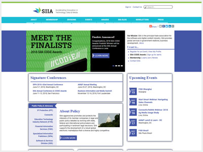 website picture