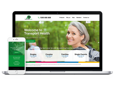 website picture