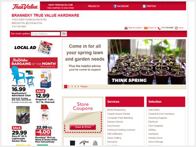 website picture