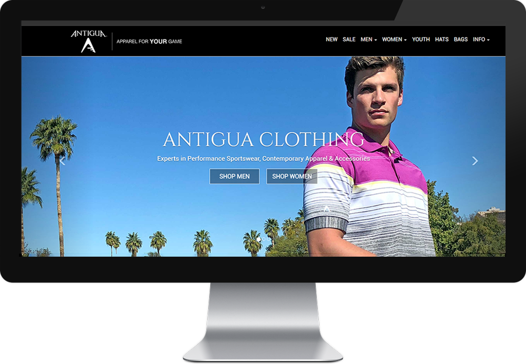 website picture