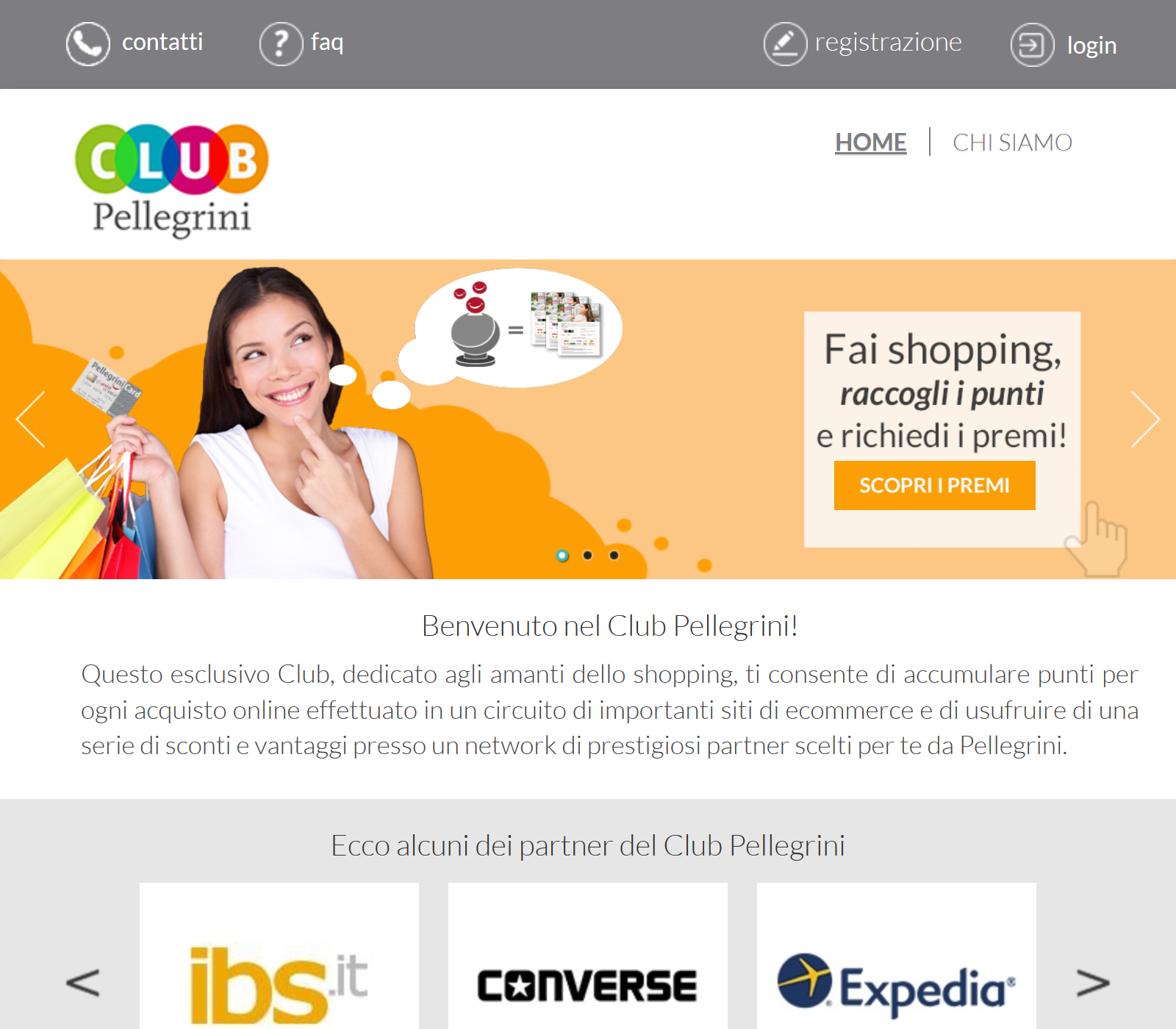 website picture