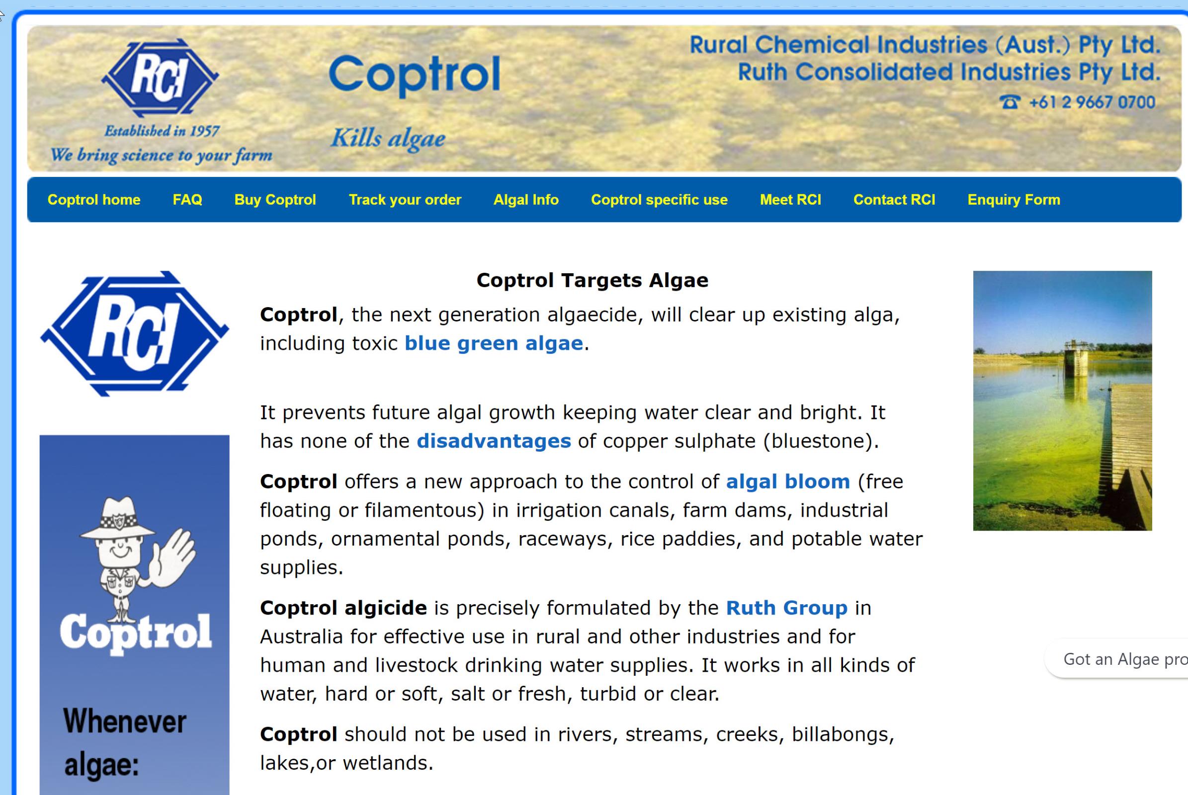 website picture