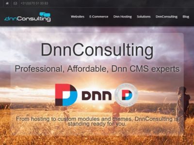 website picture