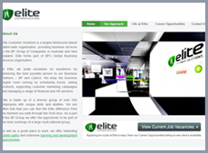 website picture