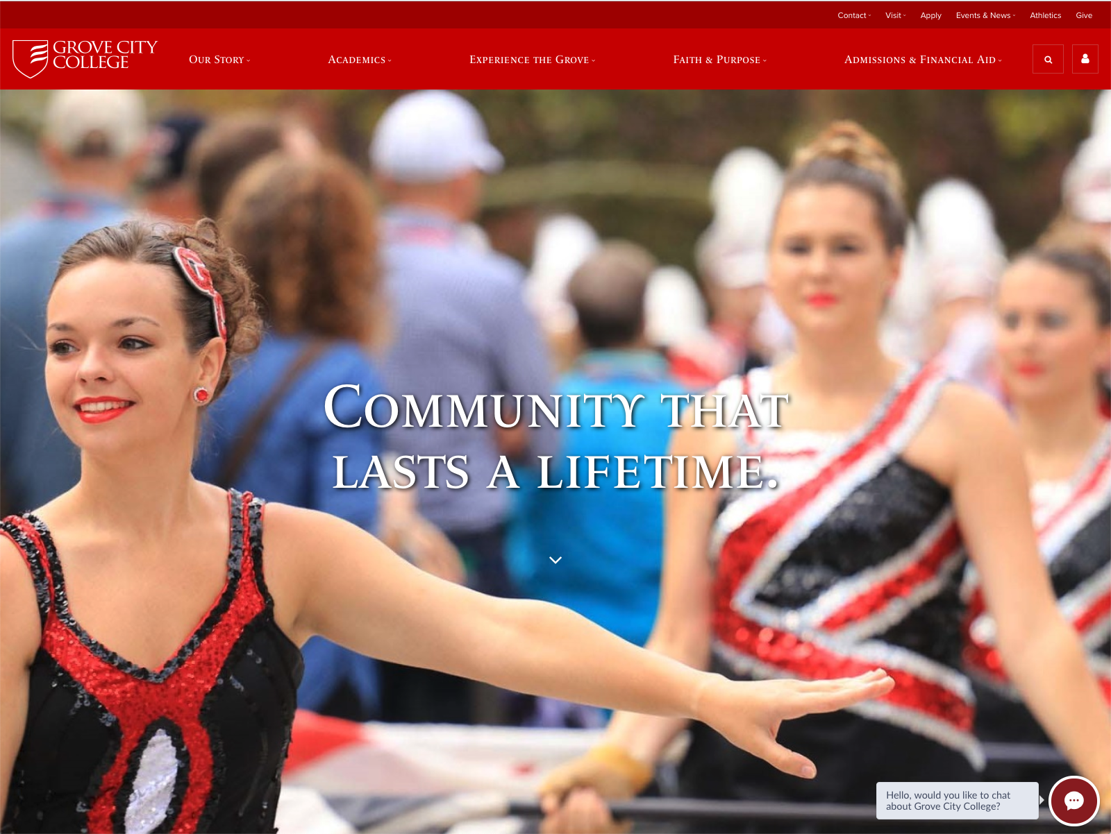 website picture
