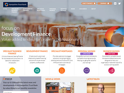 website picture