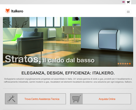 website picture