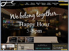 website picture