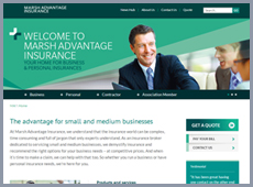 website picture