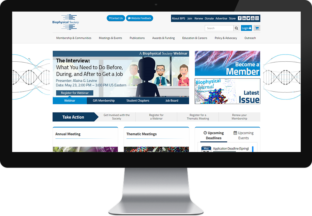 website picture
