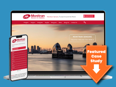 website picture