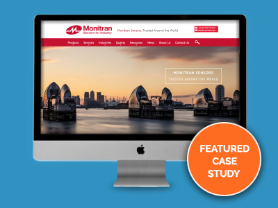 website picture