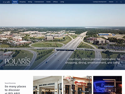 website picture